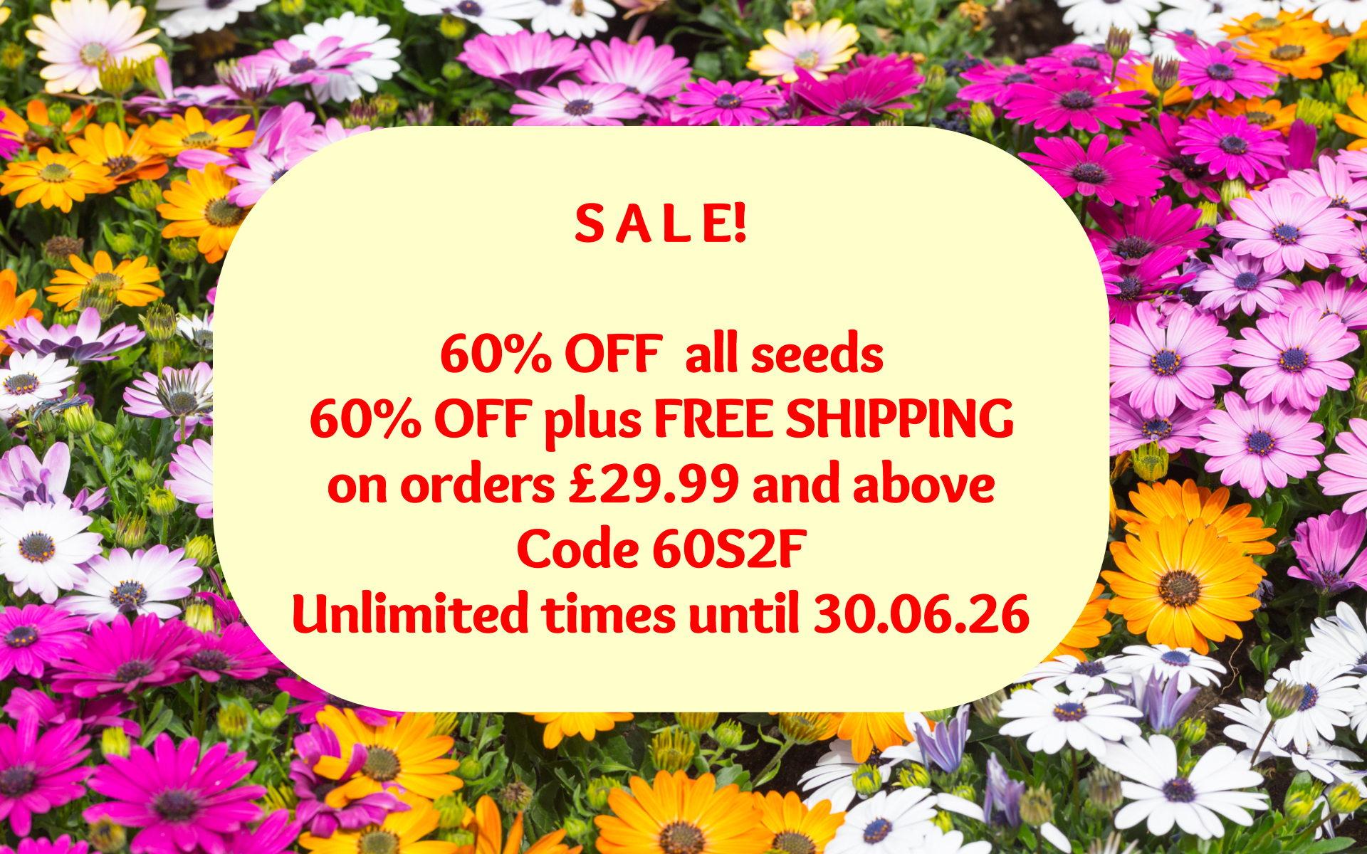 https://seedstoflowers.com/wp-content/uploads/2026/05/60-sale.jpg