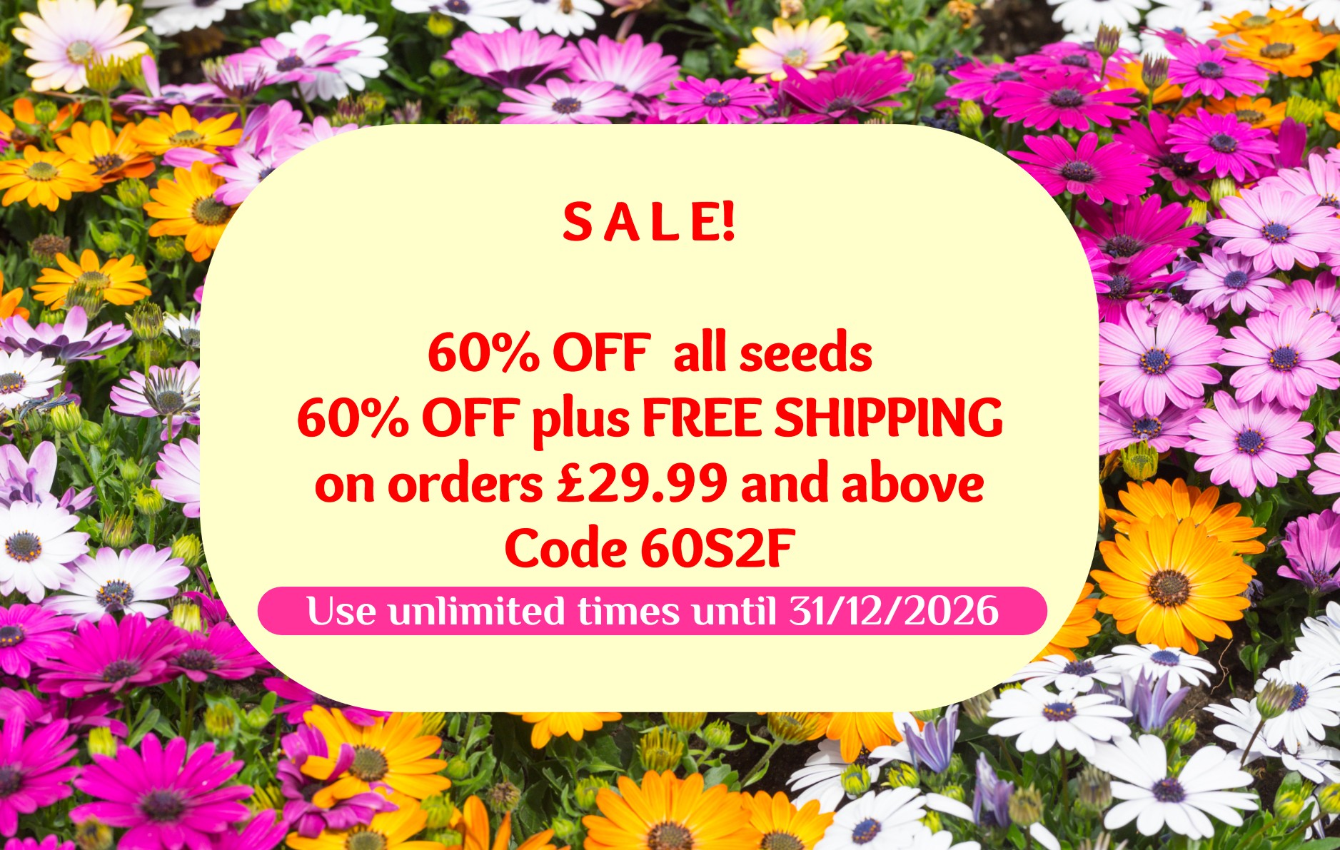https://seedstoflowers.com/wp-content/uploads/2026/08/sale-12_26.jpg